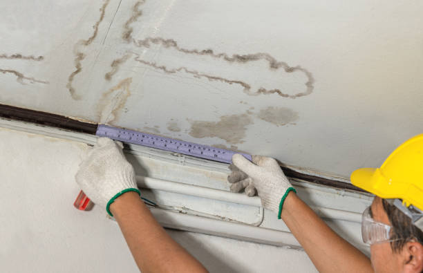 Reliable Mold Remediation contractor in Shawnee, KS by Water Damage Irwin